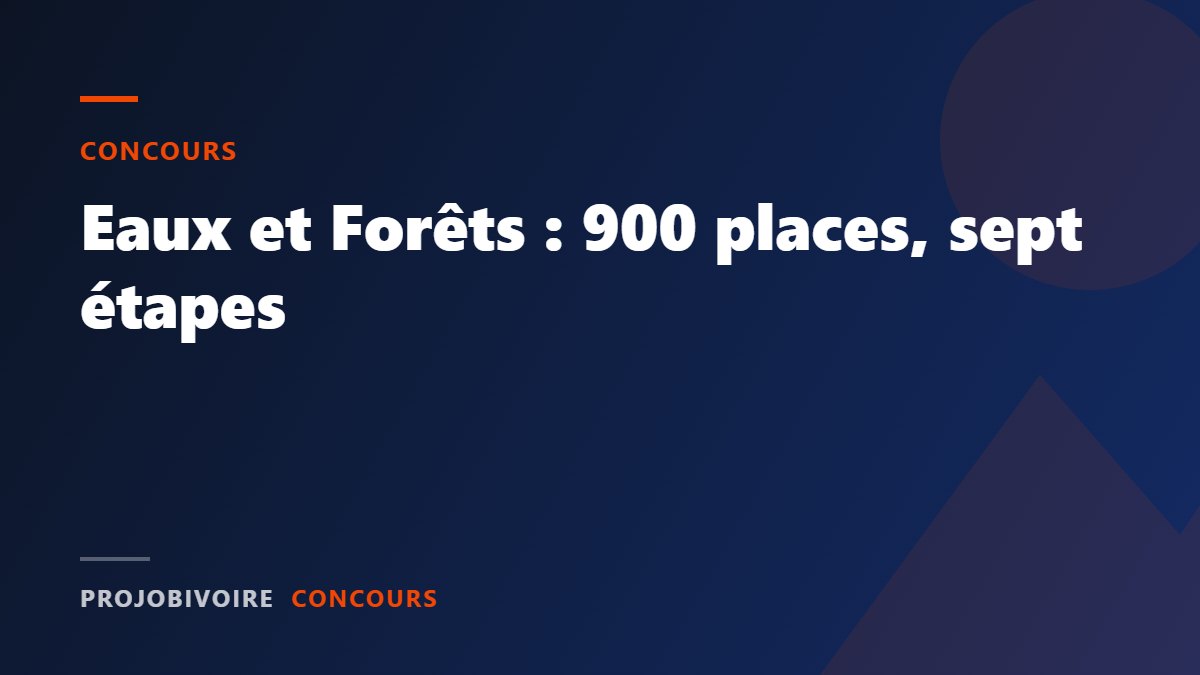 Concours des Eaux et Forêts : 900 places, BEPC ou BAC, et un parcours en 7 étapes